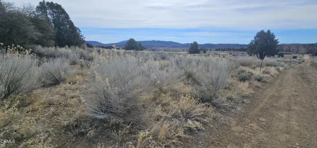 a view of lake with green space