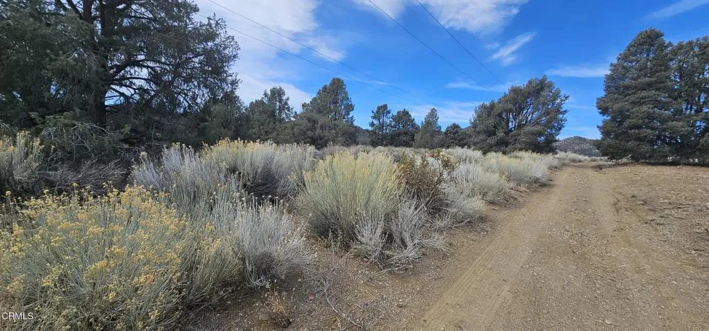 0 Boy Scout Camp Road Atlantic Mine, CA 49905 - Photo 13 of 16 a view of lake with green space