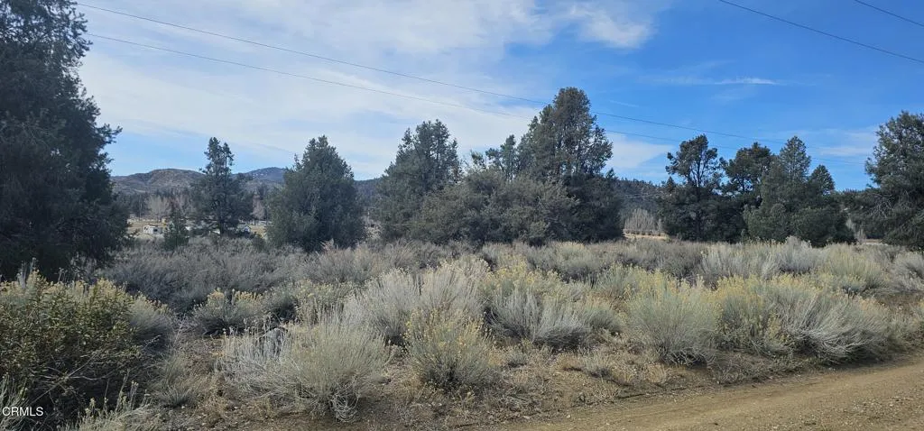 0 Boy Scout Camp Road Atlantic Mine, CA 49905 - Photo 14 of 16