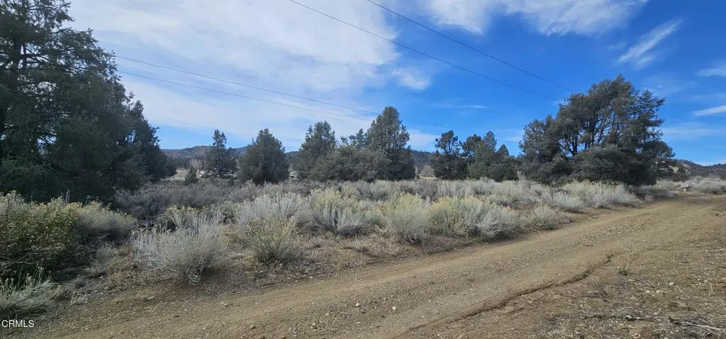 0 Boy Scout Camp Road Atlantic Mine, CA 49905 - Photo 15 of 16 a view of a rural road with plants