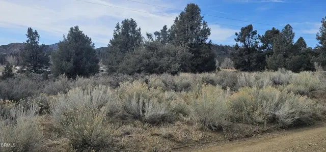 $91,000 | 0 Boy Scout Camp Road, Atlantic Mine, CA 49905