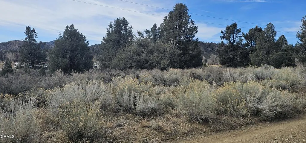 0 Boy Scout Camp Road Atlantic Mine, CA 49905 - Photo 16 of 16 a view of a dry yard with trees
