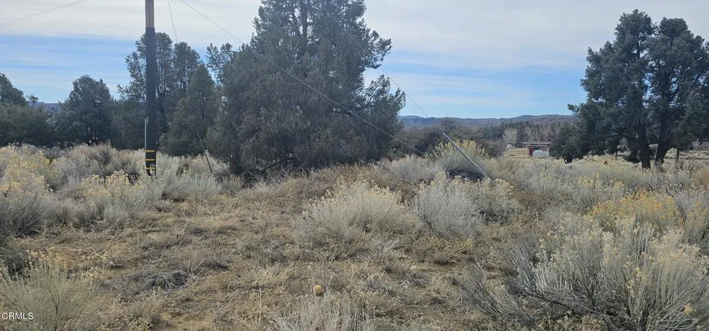 0 Boy Scout Camp Road Atlantic Mine, CA 49905 - Photo 2 of 16 a view of a dry yard with trees