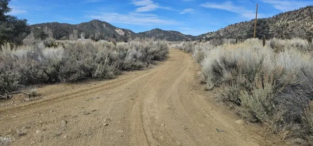 a view of a dry yard with mountains in the background