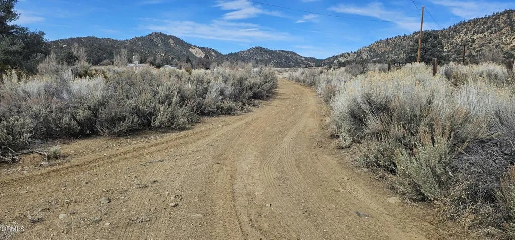 0 Boy Scout Camp Road Atlantic Mine, CA 49905 - Photo 5 of 16 a view of a dry yard with mountains in the background
