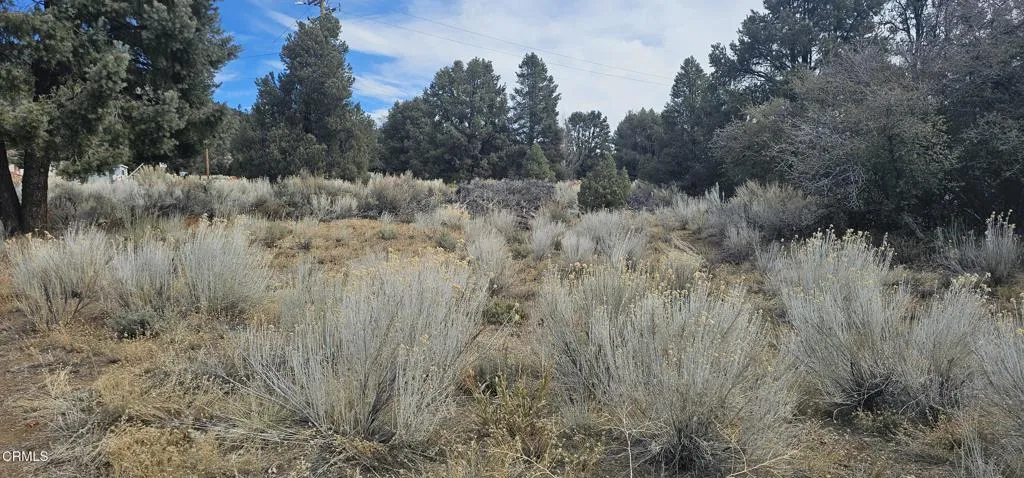 0 Boy Scout Camp Road Atlantic Mine, CA 49905 - Photo 6 of 16 a view of a lush green forest