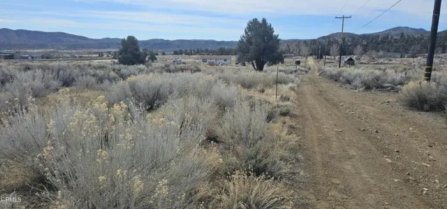 a view of a dry field