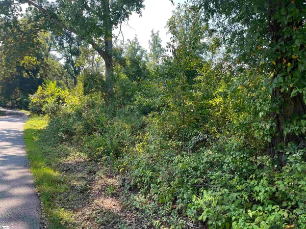 $110,000 | 0 Porter Street, Wellford, SC 29385