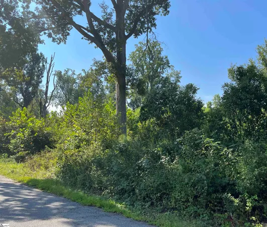 $110,000 | 0 Porter Street, Wellford, SC 29385