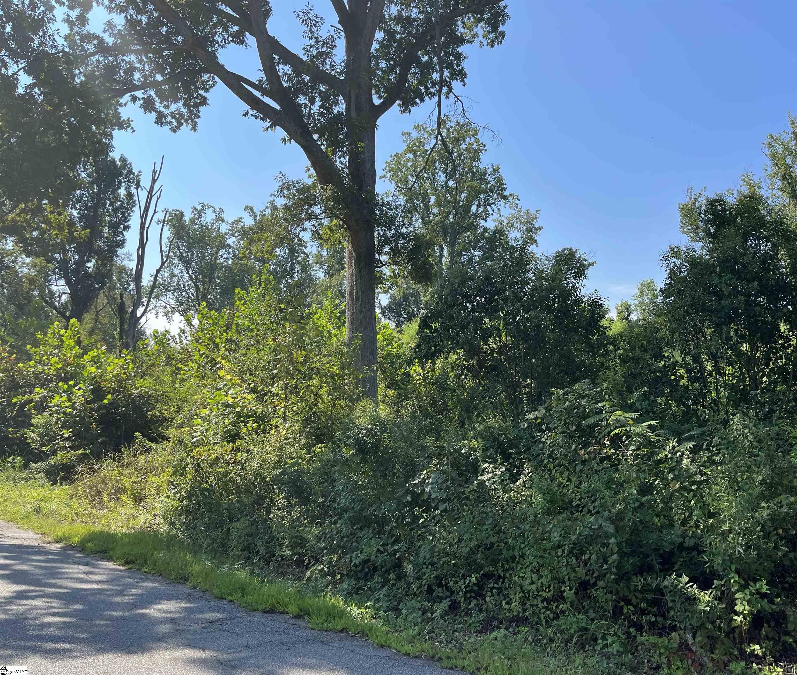 0 Porter Street Wellford, SC 29385 - Photo 3 of 7