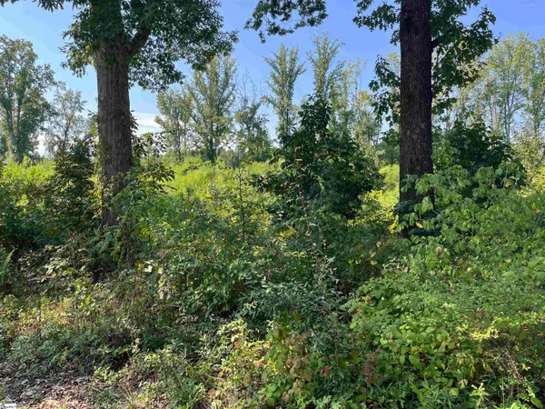 $110,000 | 0 Porter Street, Wellford, SC 29385