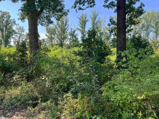 $170,000 | 0 Porter Street, Wellford, SC 29385