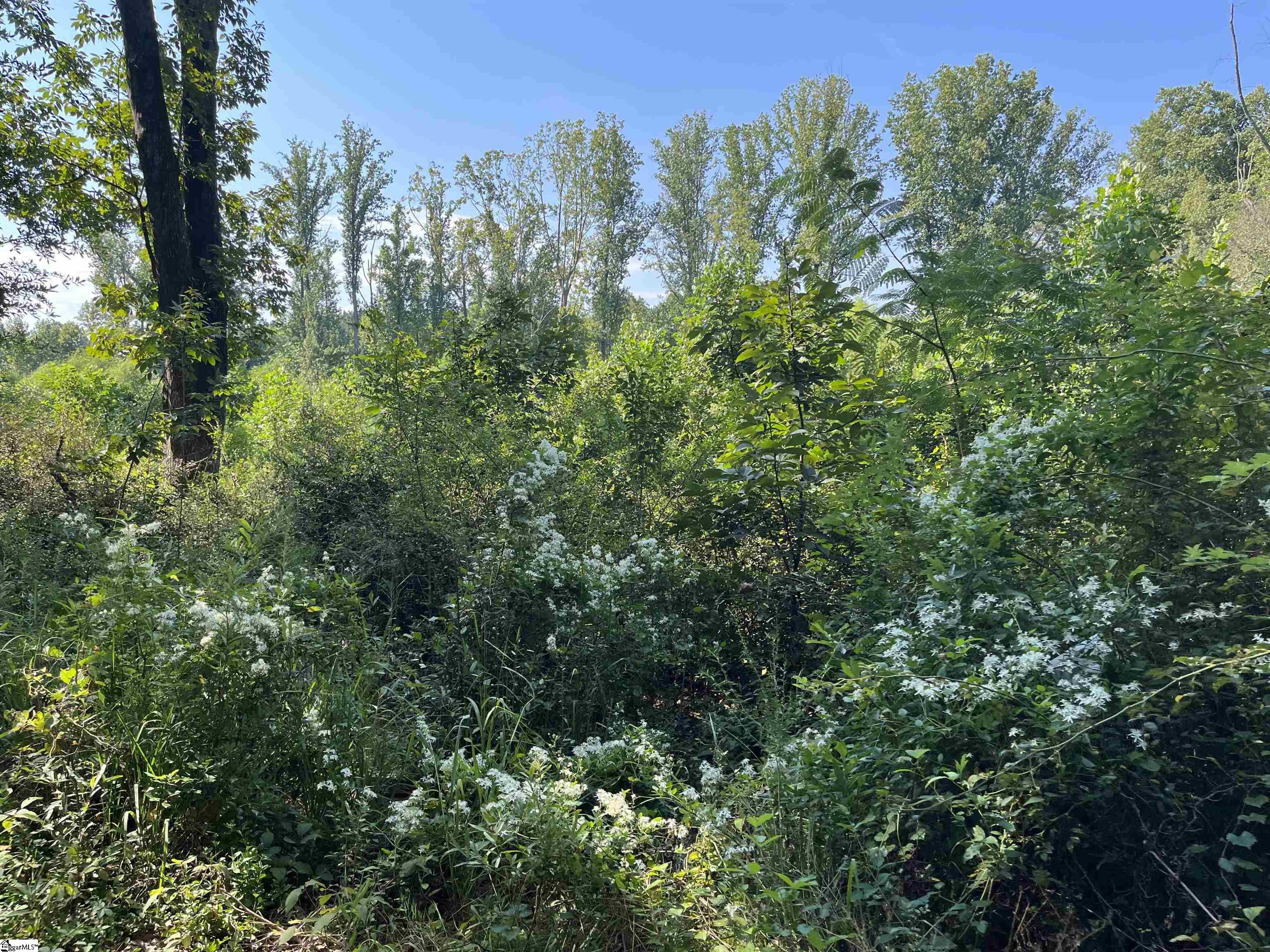 0 Porter Street Wellford, SC 29385 - Photo 6 of 7