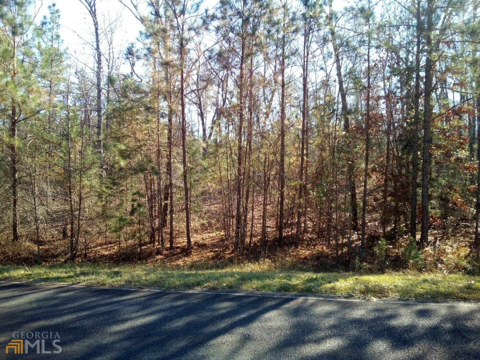 0 Charlie Jones Road, Unit NONE Thomaston, GA 30286 - Photo 1 of 1