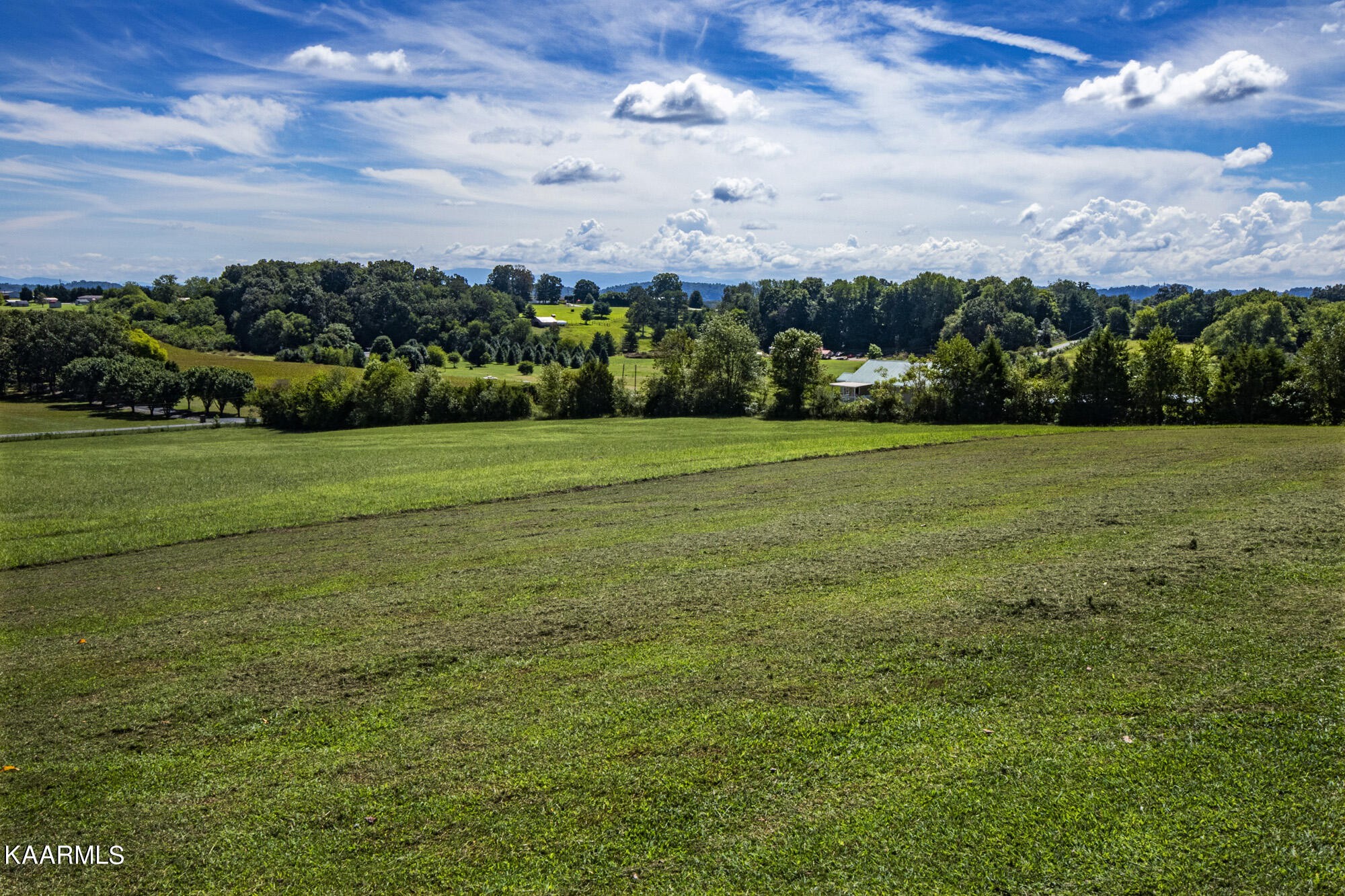 431 Sunnyside Road Sweetwater, TN 37874 - Photo 38 of 47 a view of a big yard with lots of green space