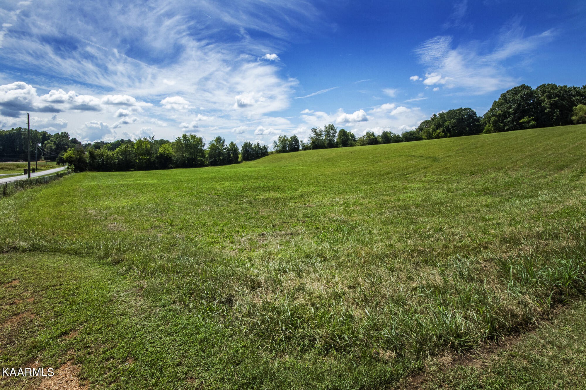 431 Sunnyside Road Sweetwater, TN 37874 - Photo 41 of 47 a view of an outdoor space and yard