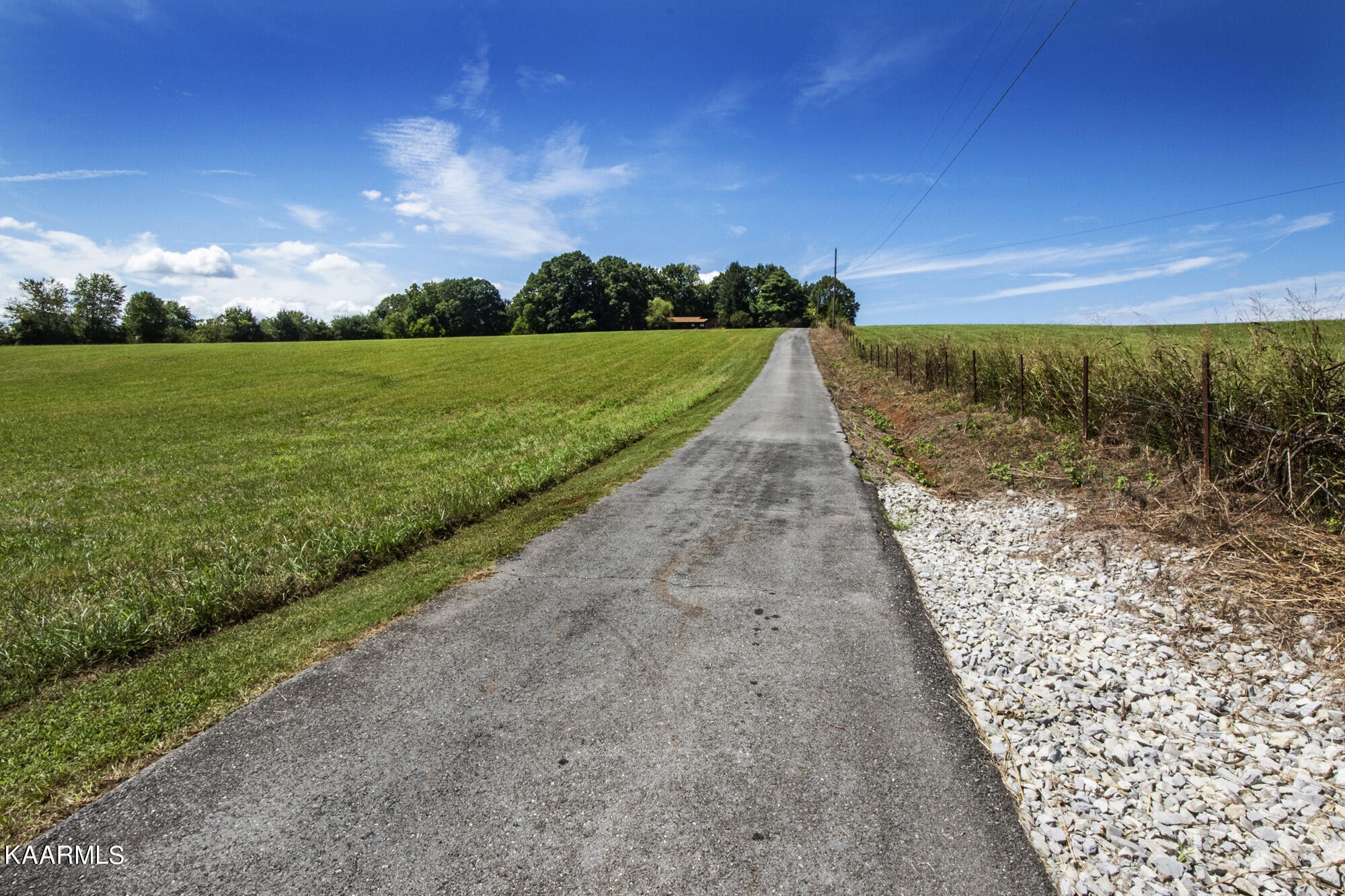 431 Sunnyside Road Sweetwater, TN 37874 - Photo 42 of 47 a view of a pathway with a yard