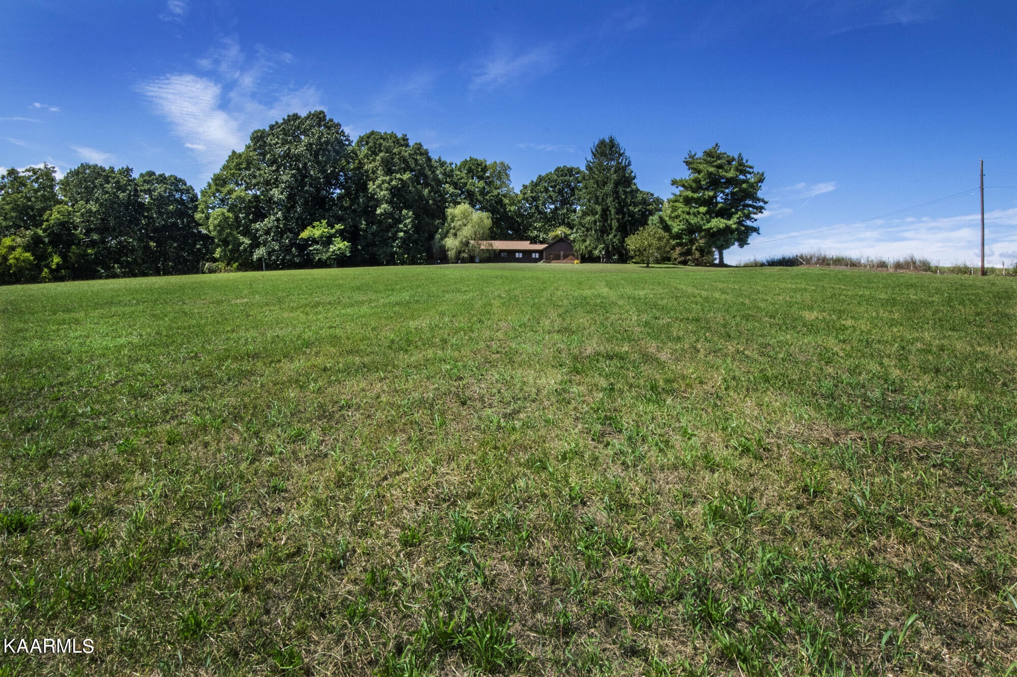 431 Sunnyside Road Sweetwater, TN 37874 - Photo 43 of 47 a view of a garden with a building in the background