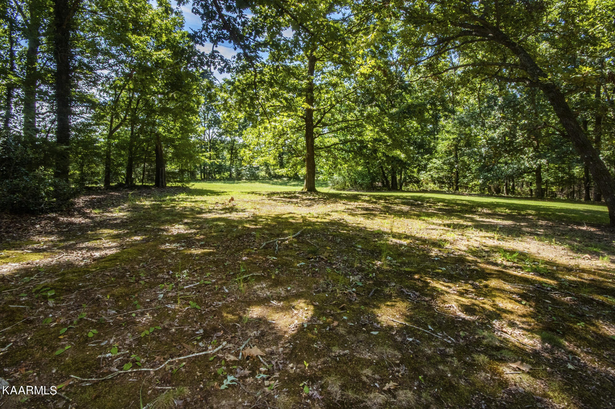 431 Sunnyside Road Sweetwater, TN 37874 - Photo 7 of 47 a view of a field with trees in the background