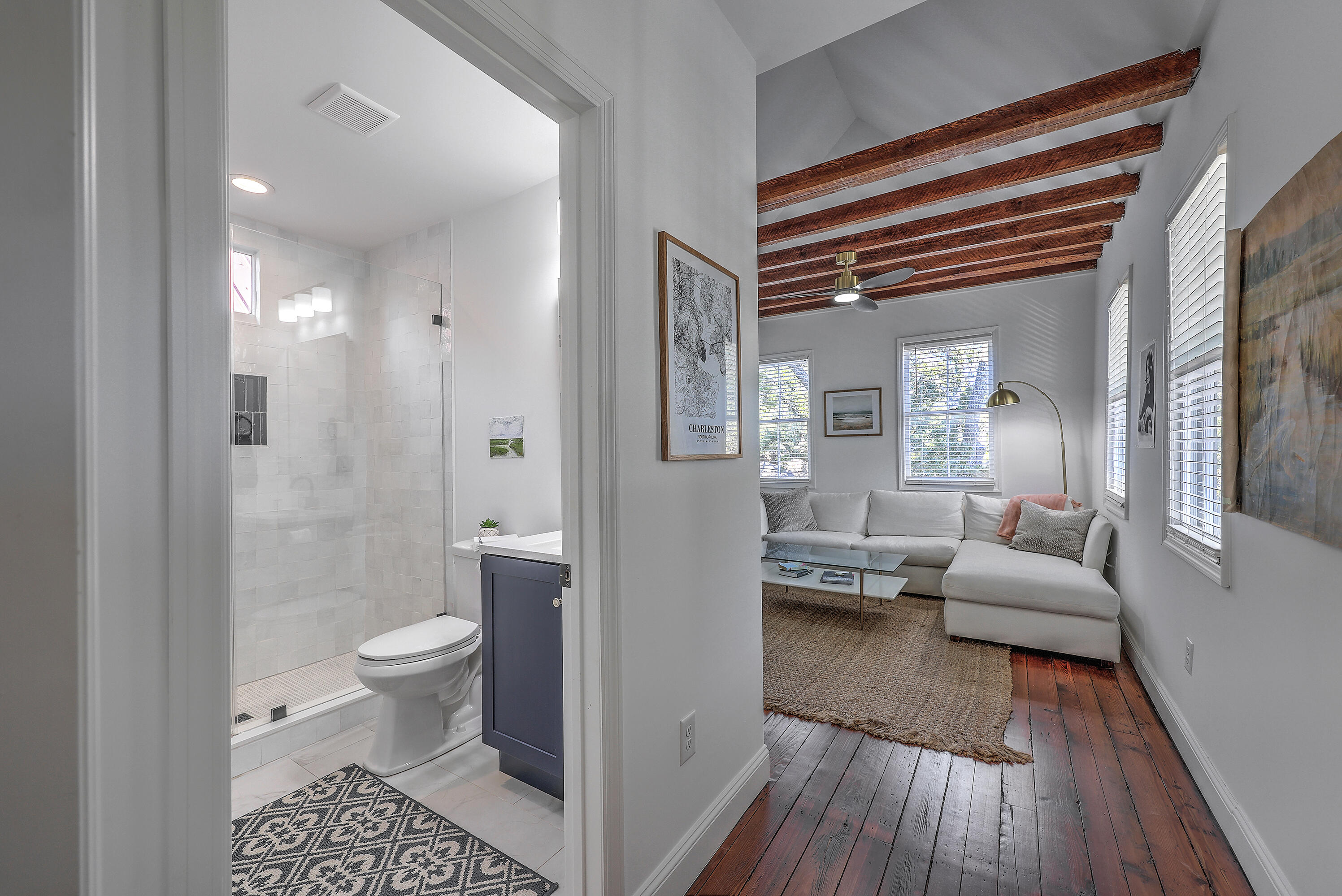 19 America Street, Unit A AND B Charleston, SC 29403 - Photo 13 of 45 ZYN_6221_2_3_4_5_6_7