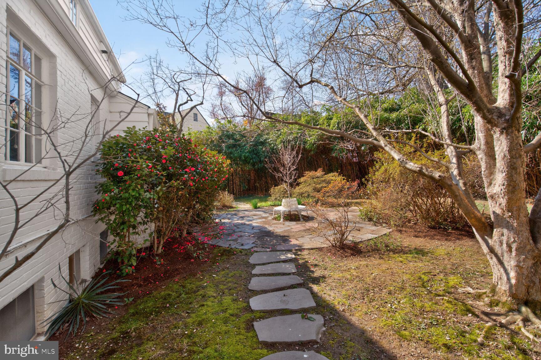402 Dale Drive Silver Spring, MD 20910 - Photo 18 of 27 Back Garden
