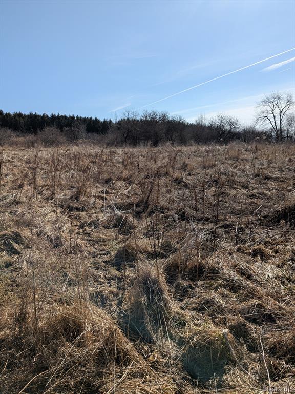0 Oregon Road Lapeer, MI 48446 - Photo 6 of 7