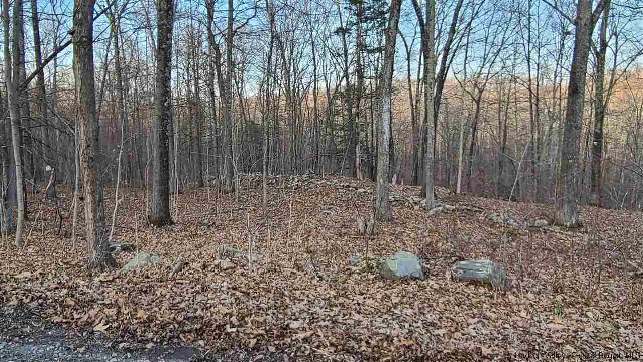 Tbd Hawleys Corners Road Highland, NY 12528 - Photo 2 of 7 Photo 2