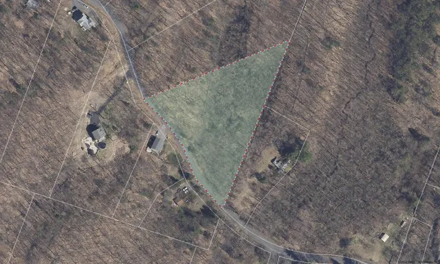 a view of a dry yard with trees