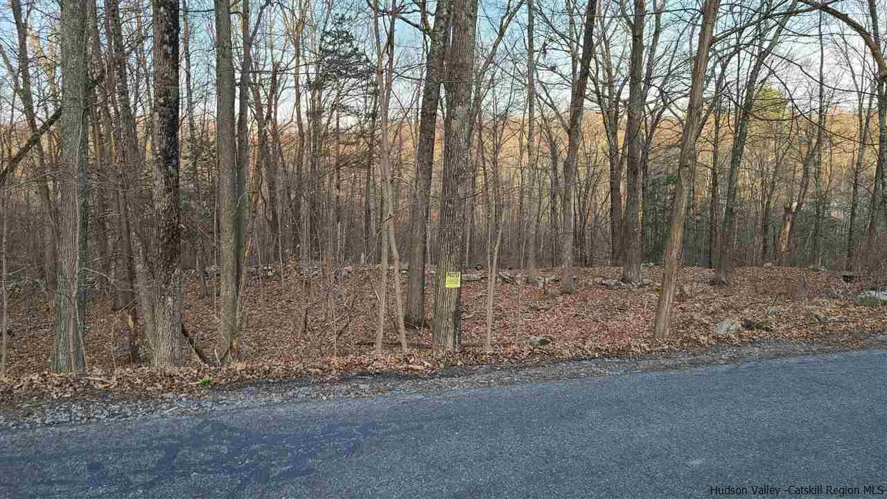 Tbd Hawleys Corners Road Highland, NY 12528 - Photo 4 of 7 Photo 4