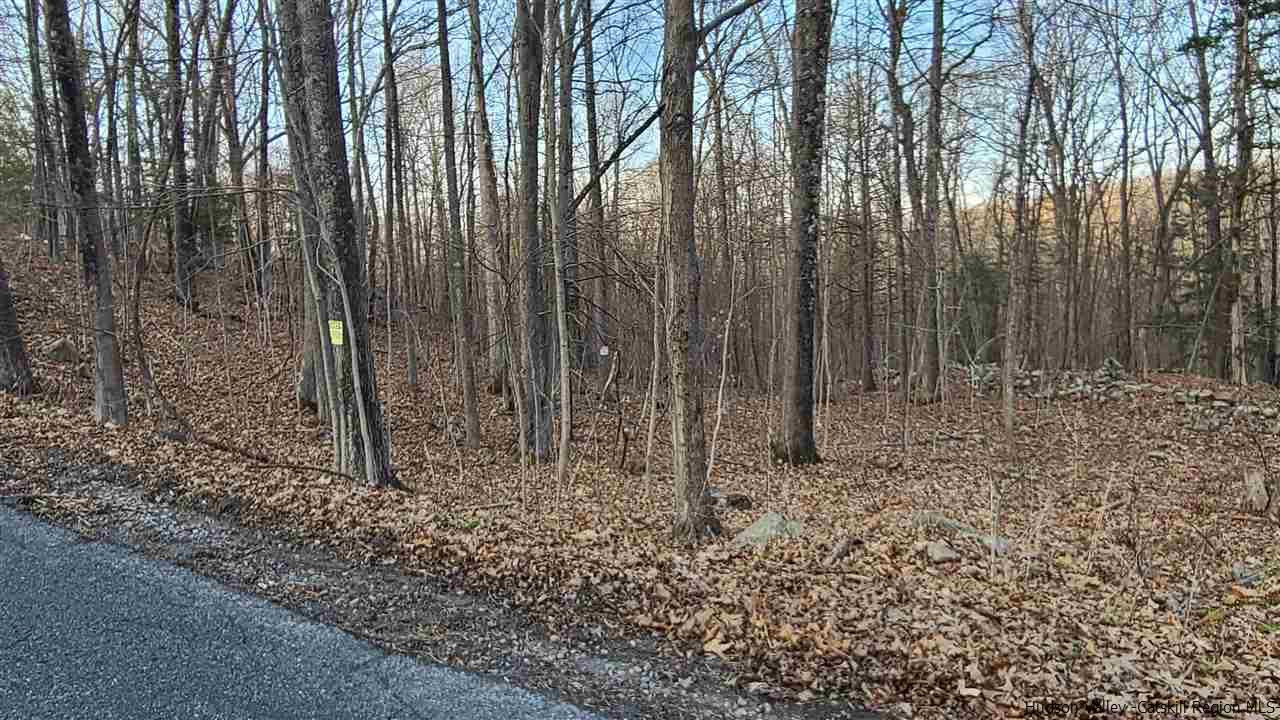 Tbd Hawleys Corners Road Highland, NY 12528 - Photo 5 of 7 Photo 5