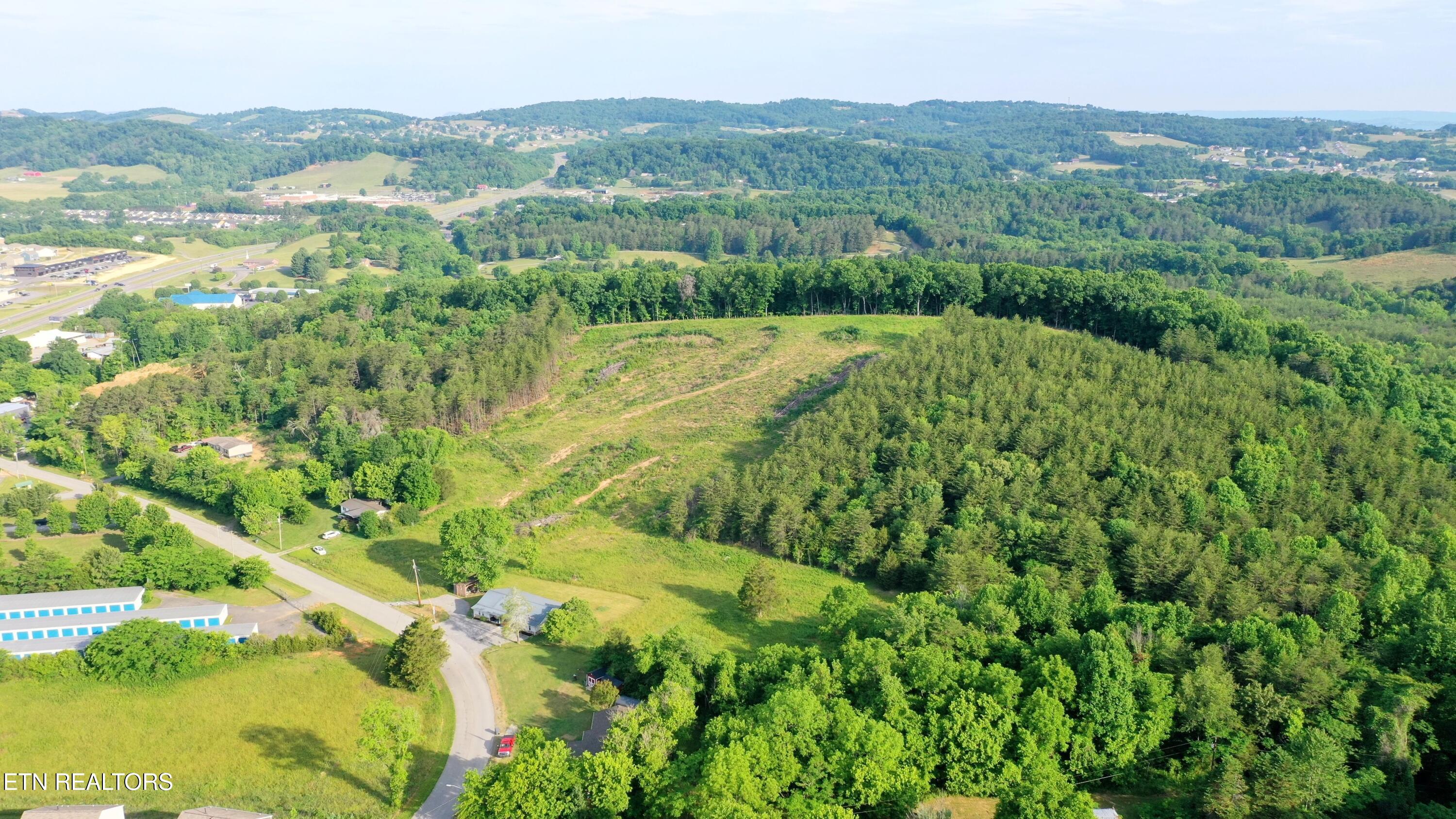 294 Milldale Road Dandridge, TN 37725 - Photo 5 of 7 Cate Cove -6