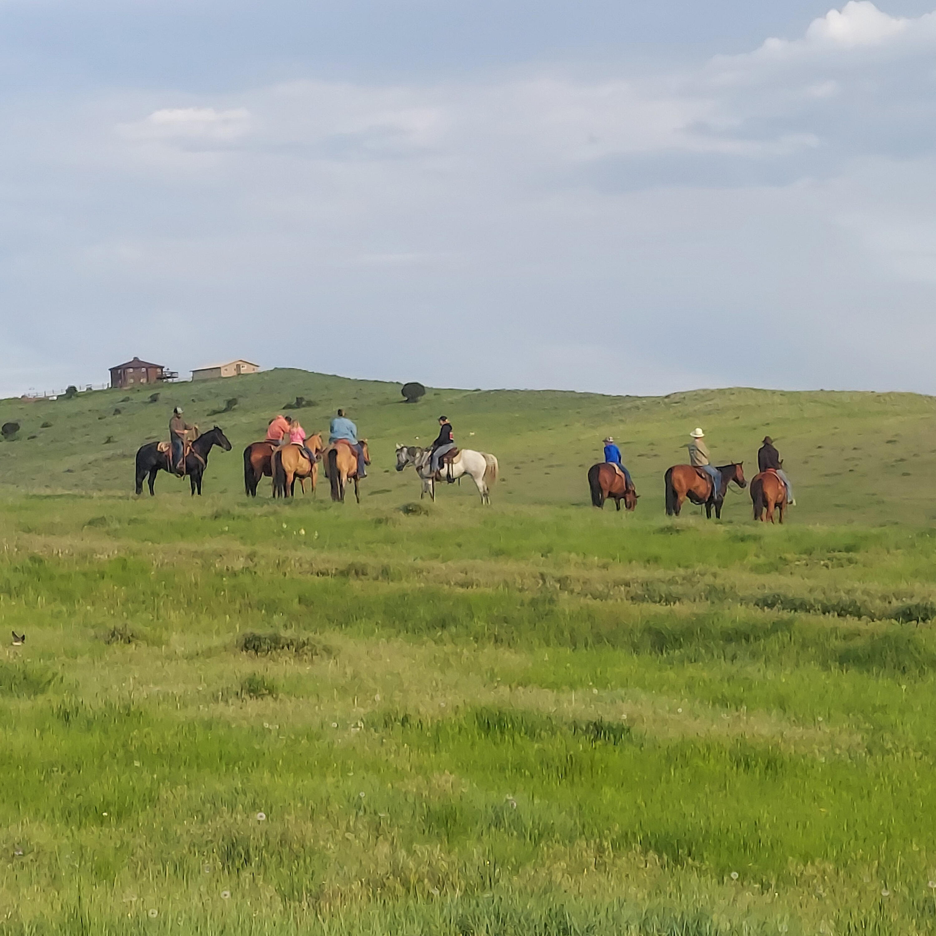 593 Lower Prairie Dog Road Sheridan, WY 82801 - Photo 135 of 142 123_1(14)