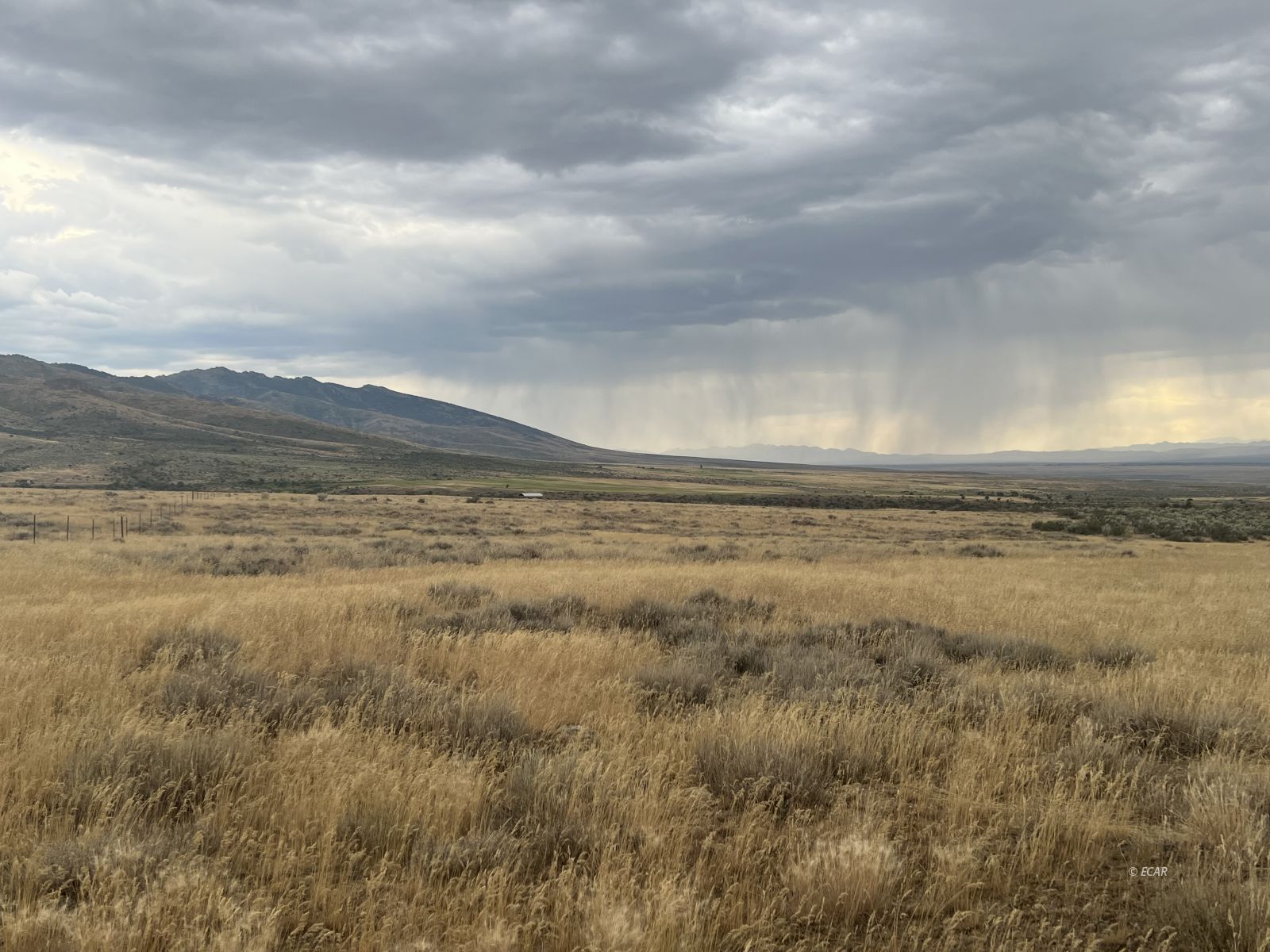 Smith Creek Ranch Spring Creek, NV 89815 - Photo 1 of 9