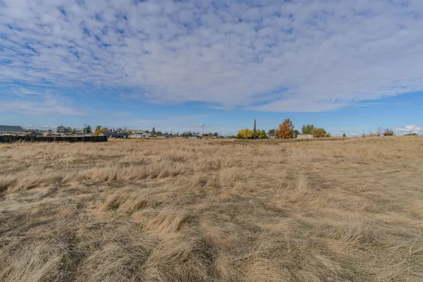 a view of a yard with an empty space and trees