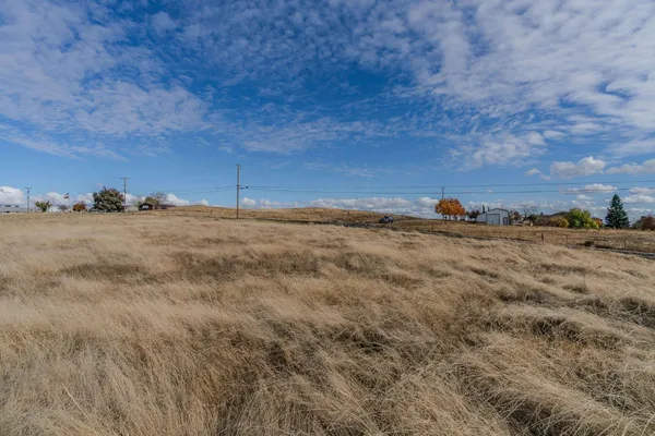 a view of a yard with wooden fence