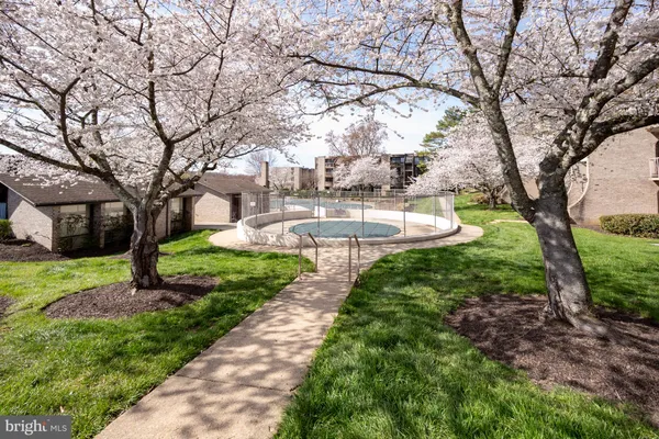 a view of a brick house with a small yard and large tree