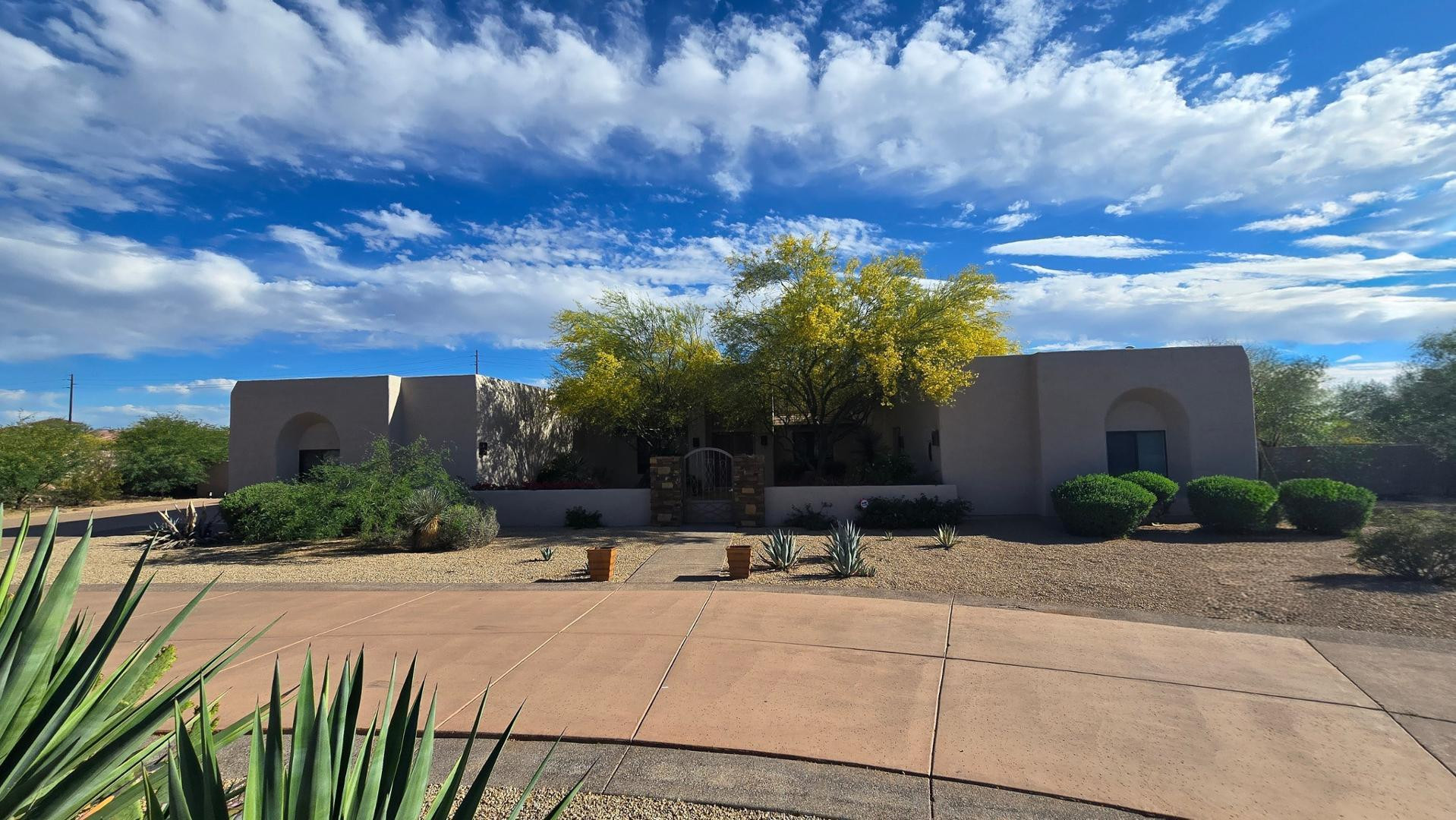 a view of a backyard
