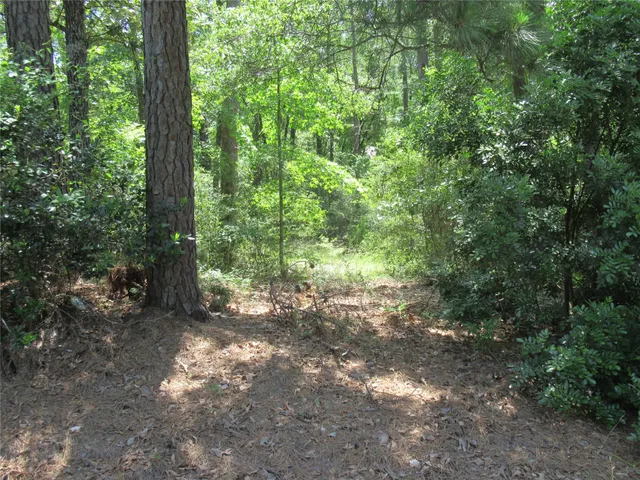 $99,000 | 375 Noel, Livingston, TX 77351