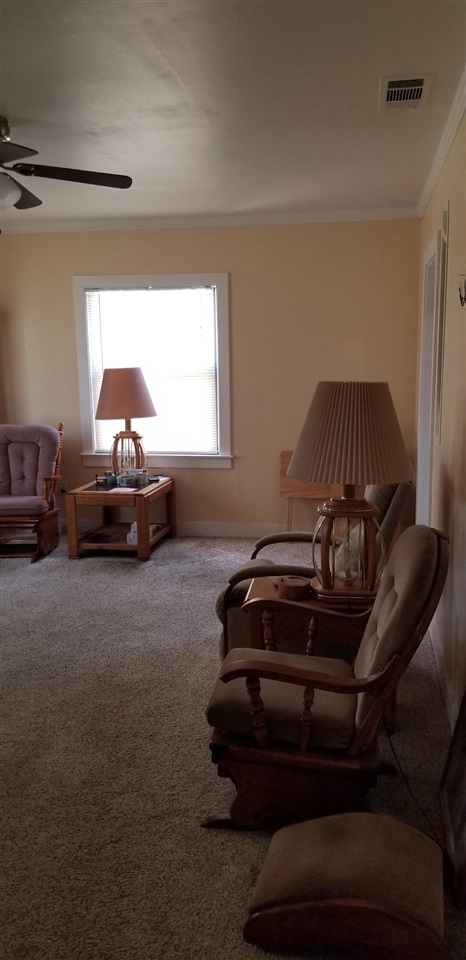 381 Aleut Street Biggs, CA 95917 - Photo 12 of 35 a living room with a couch and a potted plant
