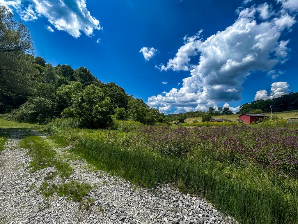 26-acres Tobler Road Rural Retreat, VA 24368 - Photo 58 of 60 Gallery Image 58