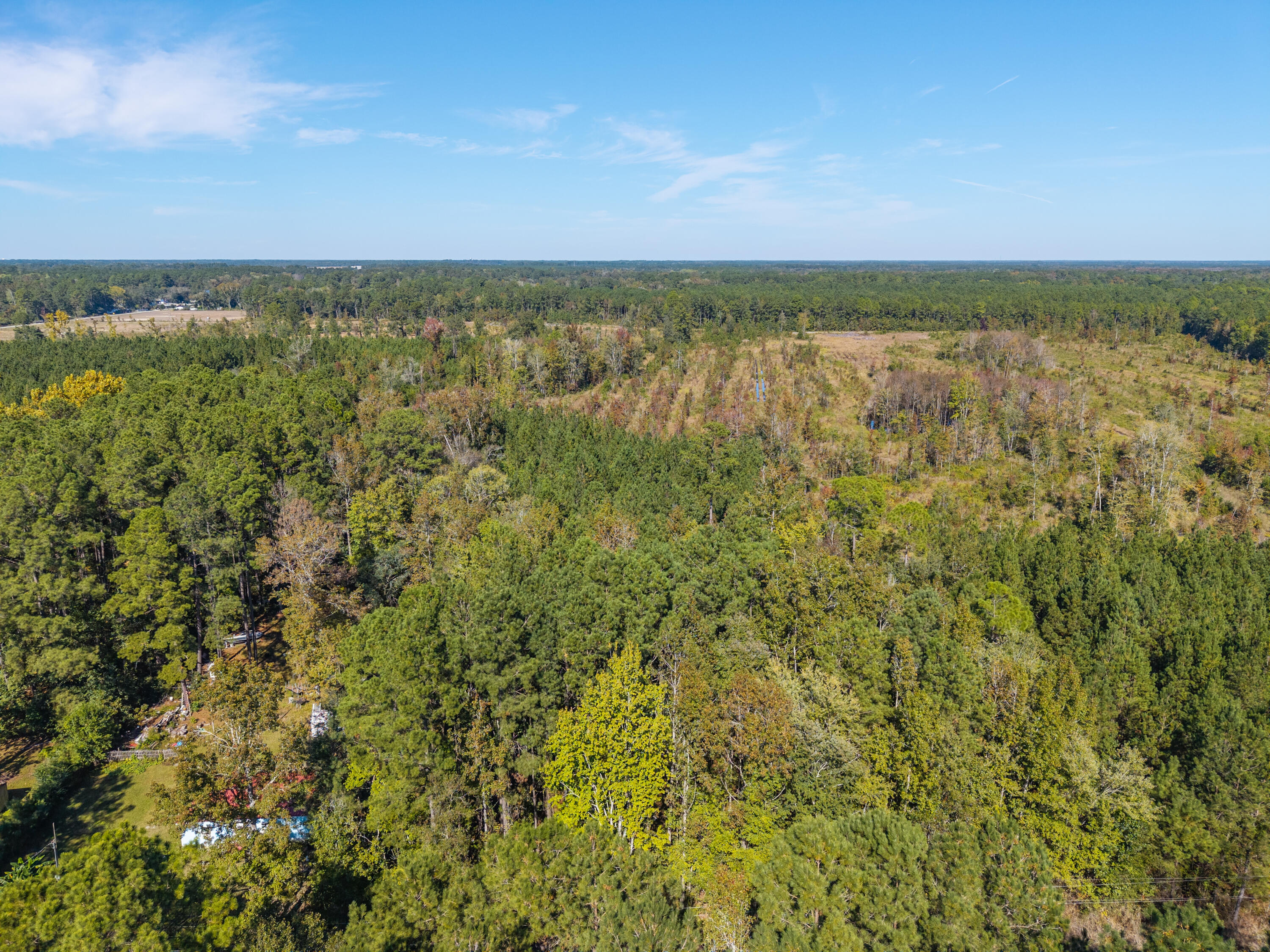 905 Peurifoy Road Walterboro, SC 29488 - Photo 6 of 29 Zyndicate3164