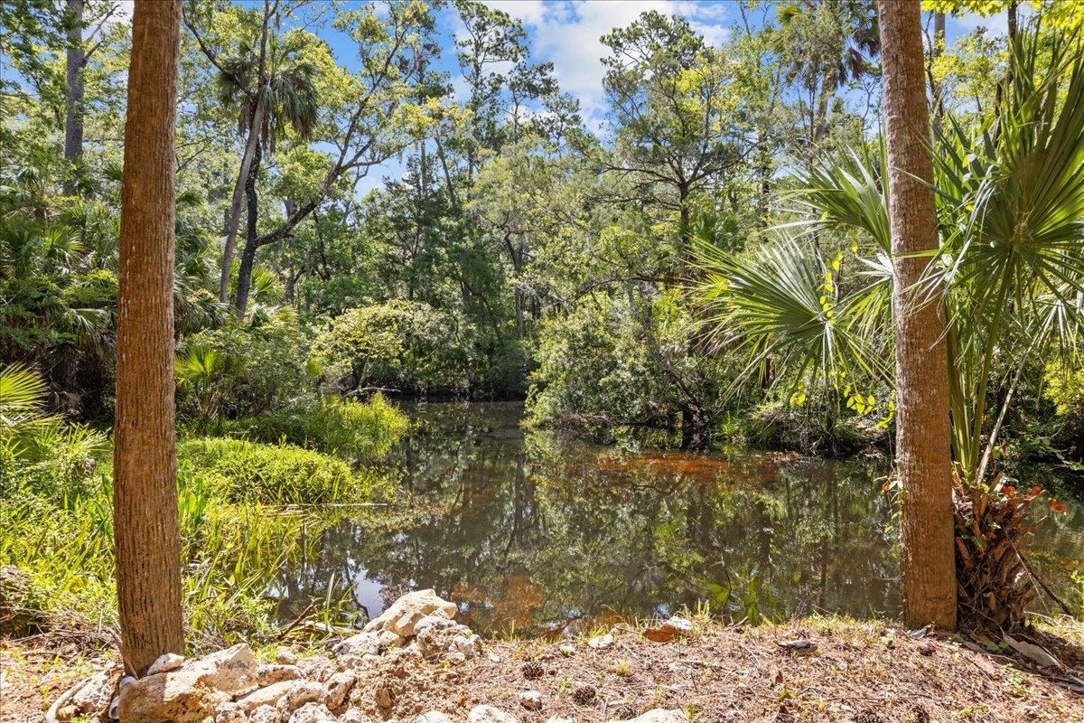 1334 Jr Howell Road Steinhatchee, FL 32359 - Photo 38 of 69