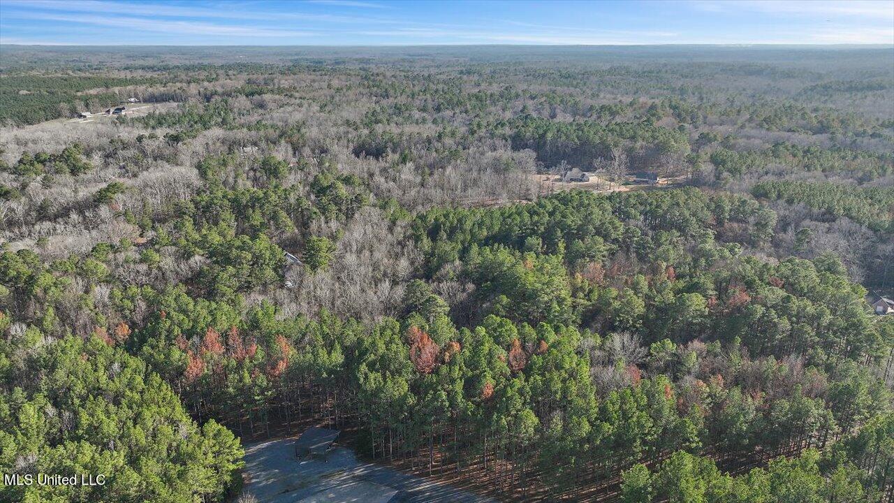 1074 Ridgeside Drive Brandon, MS 39042 - Photo 23 of 30 21-1074 Ridgeside Dr