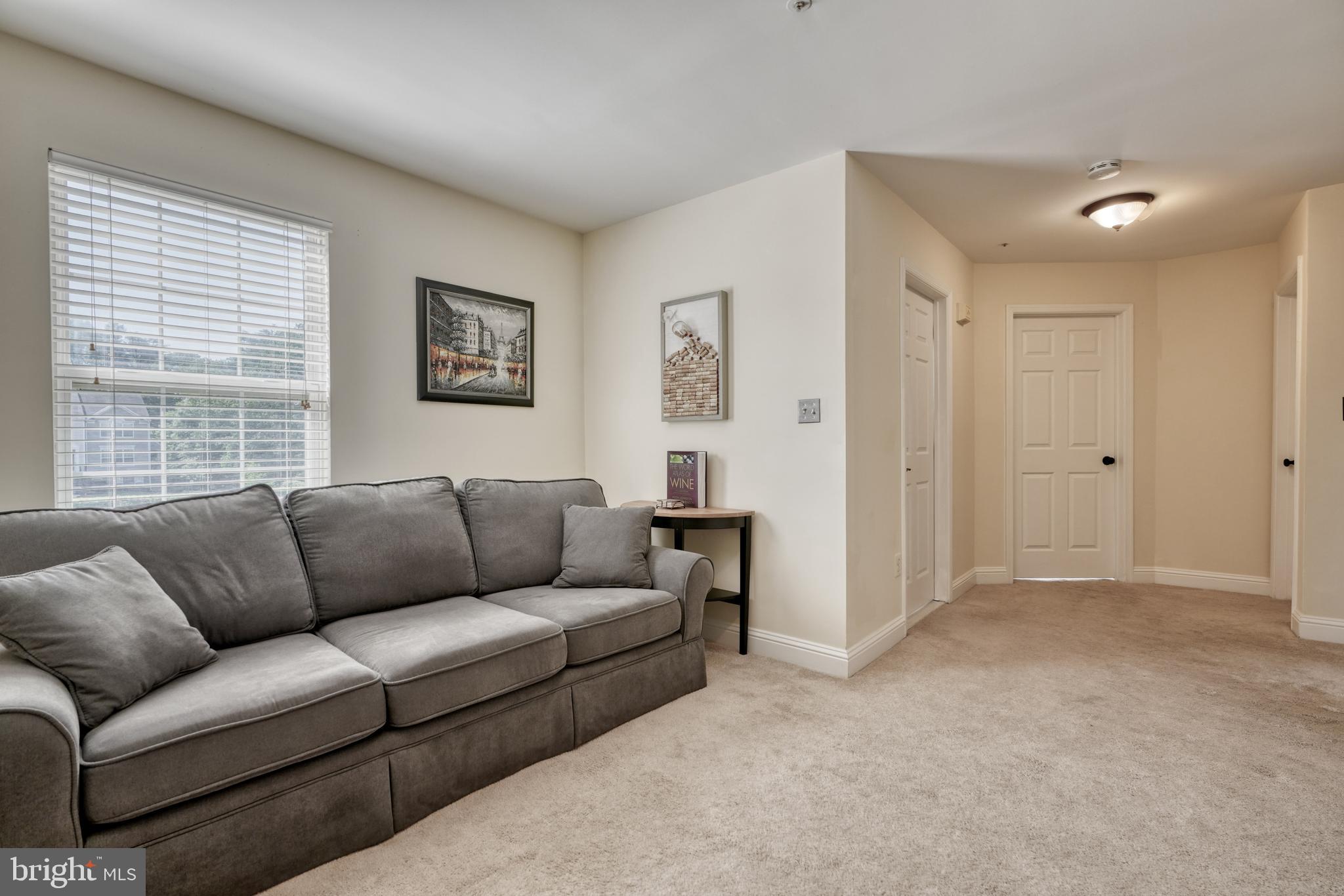 8727 Grape Arbor Way Odenton, MD 21113 - Photo 31 of 62