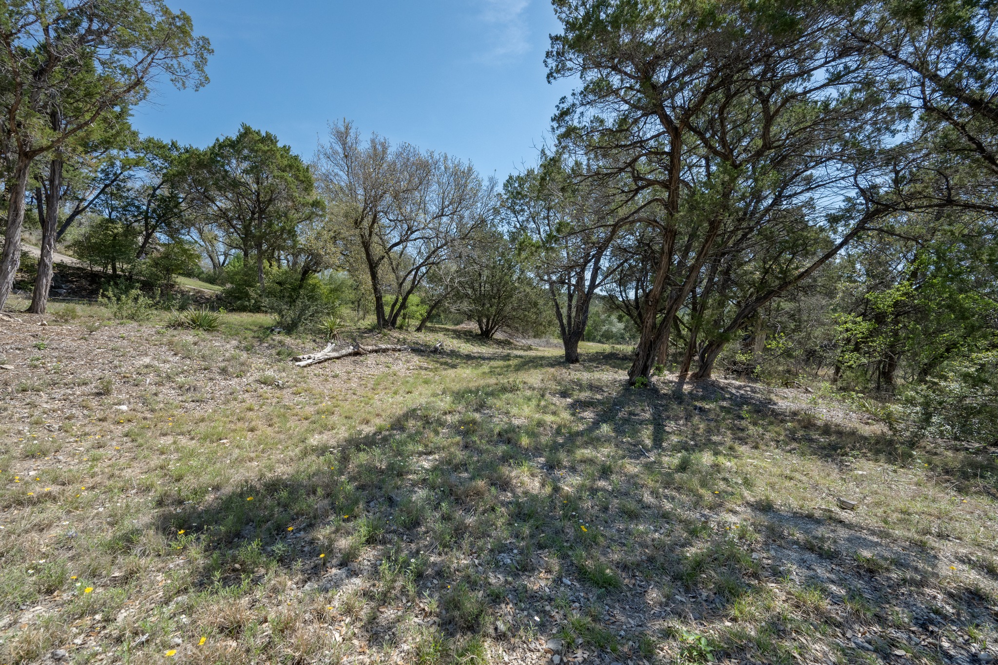 9106 Yucca Mountain Road Austin, TX 78759 - Photo 35 of 40