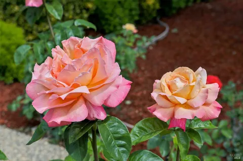 $1,050,000 | 1759 Emerald Drive, Calistoga, CA 94515