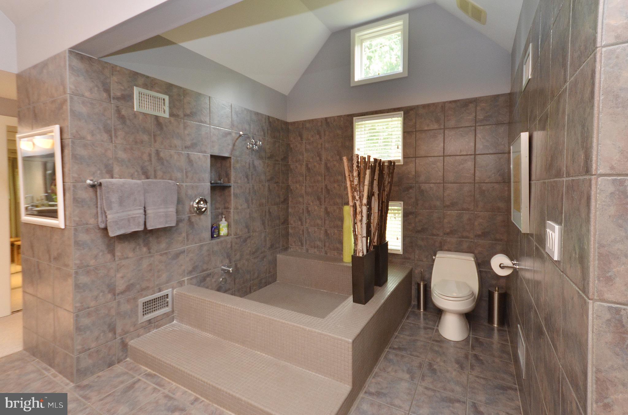 37176 Mountville Road Middleburg, VA 20117 - Photo 22 of 29 Master Bath Retreat!