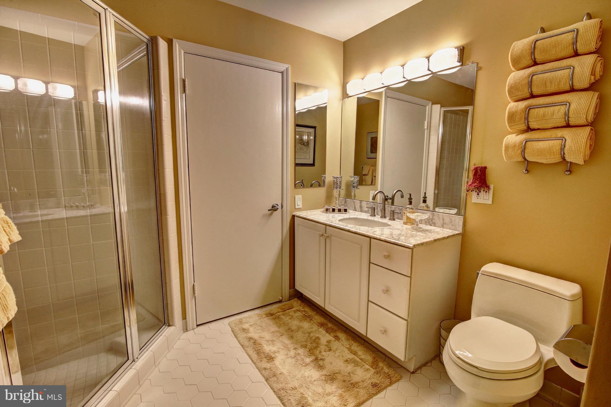 37176 Mountville Road Middleburg, VA 20117 - Photo 27 of 29 Bath