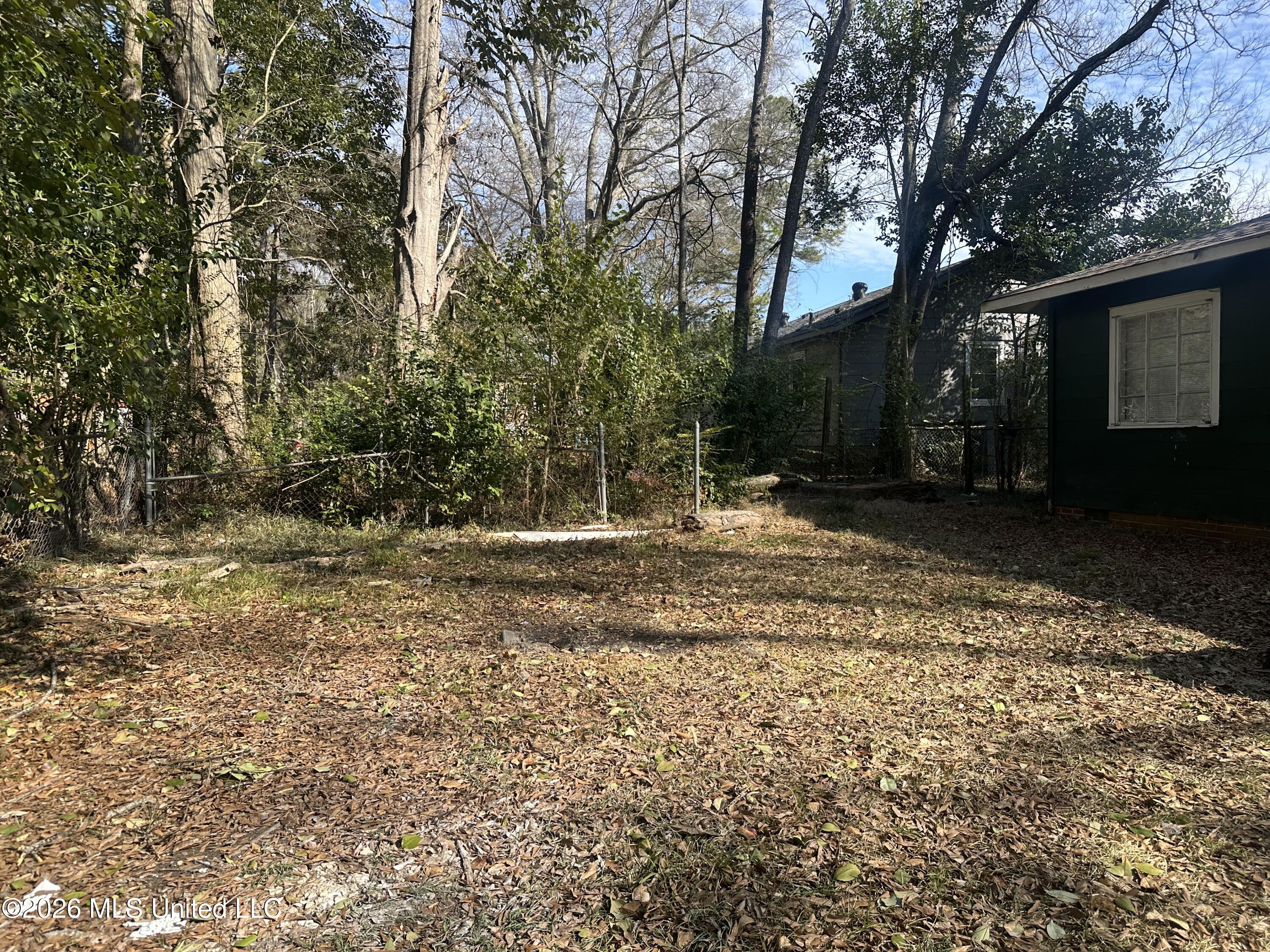 156 Wacker Drive Jackson, MS 39206 - Photo 32 of 37 IMG_7842