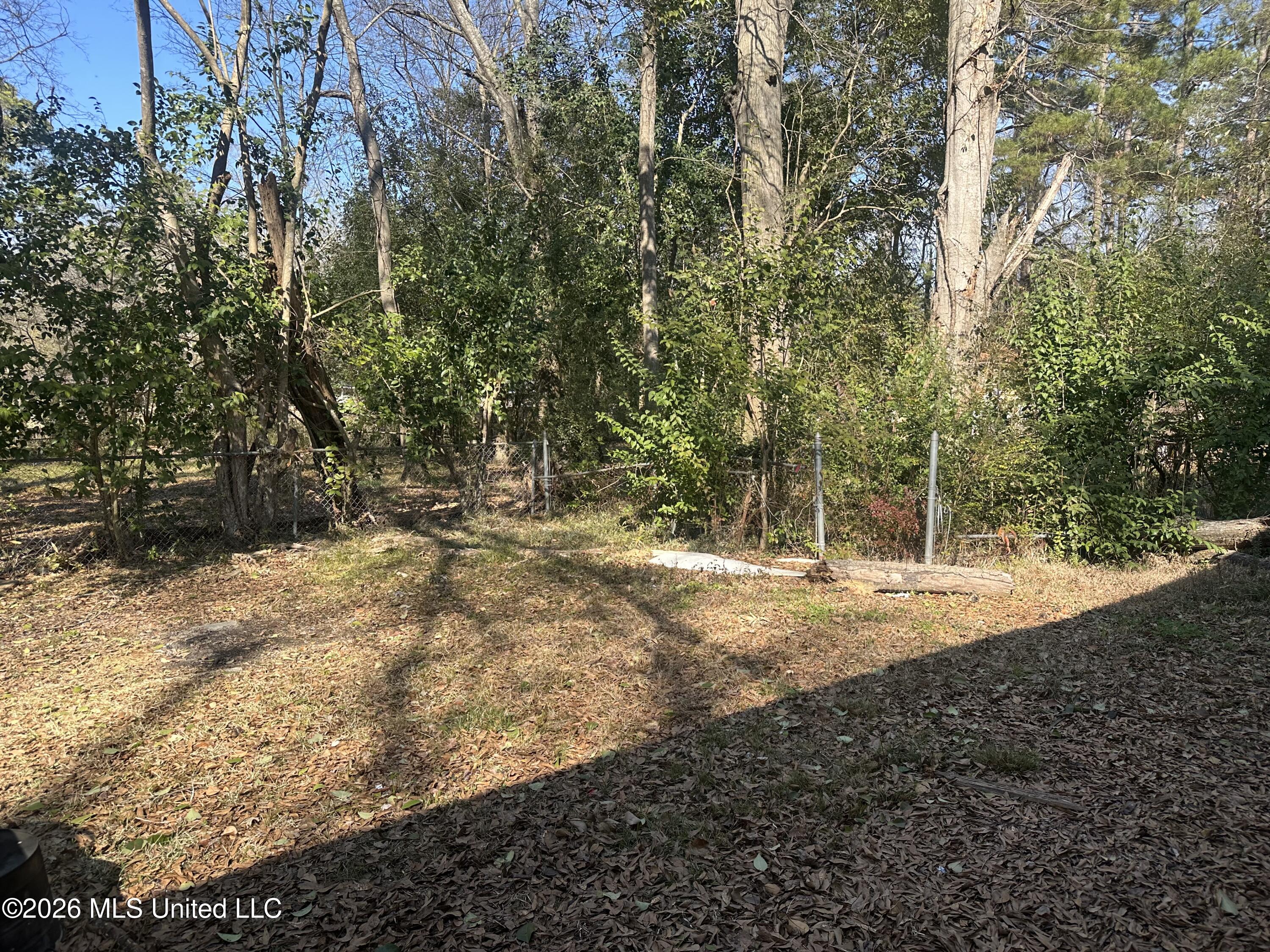 156 Wacker Drive Jackson, MS 39206 - Photo 34 of 37 IMG_7840